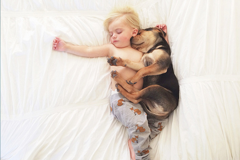 Fotos do menino que só dorme com o cãozinho