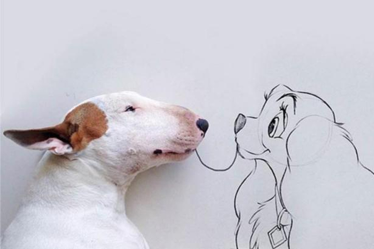 Um ilustrador criativo, seu cão e muito espaço para desenhar.